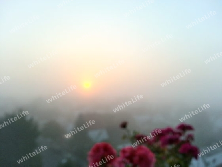 Sonnenaufgang im Nebel