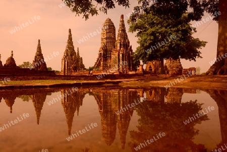 The Wat Chai Wattanaram Temple in City of Ayutthaya in the north of Bangkok in Thailand, Southeastasia.