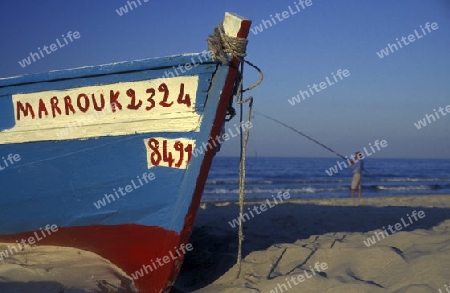 Afrika, Tunesien, Monastir
Ein Strand bei der Kuestenstadt Monastir in Central Tunesien. (URS FLUEELER)






