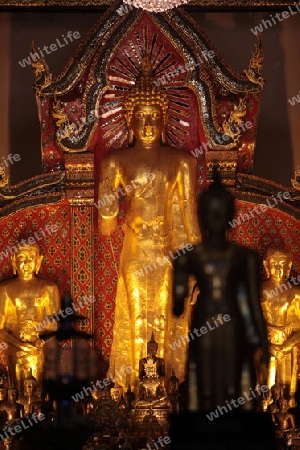 Die Architektur des Wat Chedi Luang Tempel in Chiang Mai im Norden von Thailand