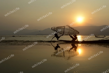 Fishermen at sunrise in the Landscape on the Inle Lake in the Shan State in the east of Myanmar in Southeastasia.