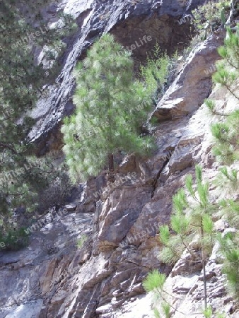 Kanarische Berglandschaft