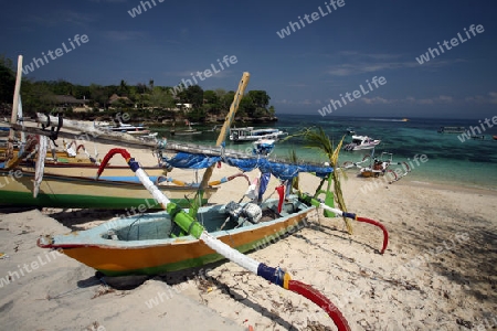 Ein Strand in Jungutbatu Beach im westen der kleinen Insel Nusa Lembongan im osten der Insel Bali in Indonesien in Suedostasien.