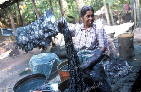 Asien, Indischer Ozean, Sri Lanka,
Eine Frau beim Textilien einfaerben in einer Textil Fabrik beim Kuestendorf Hikkaduwa an der Suedwestkueste von Sri Lanka. (URS FLUEELER)






