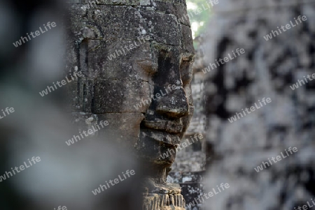 Stone Faces the Tempel Ruin of Angkor Thom in the Temple City of Angkor near the City of Siem Riep in the west of Cambodia.