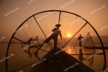 Fishermen at sunrise in the Landscape on the Inle Lake in the Shan State in the east of Myanmar in Southeastasia.