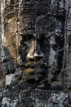 Stone Faces the Tempel Ruin of Angkor Thom in the Temple City of Angkor near the City of Siem Riep in the west of Cambodia.