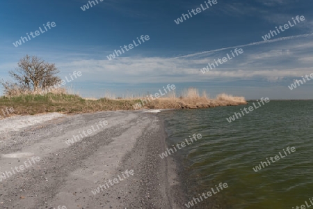 Am Boddstetter Bodden, Nationalpark Vorpommersche Boddenlandschaft, Deutschland