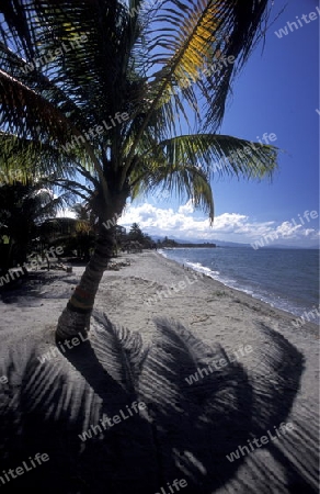 the Beach of Tela near San Pedro Sula on the caribian sea in Honduras in Central America,