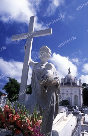 the Cemetery of Necropolis Cristobal Colon in the city Havana on Cuba in the caribbean sea.