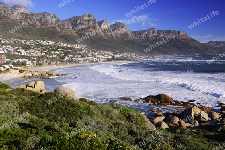 Camps Bay mit Felsformation "Die 12 Apostel" am Abend, Kapstadt, Western Cape, West Kap, S?dafrika, Afrika