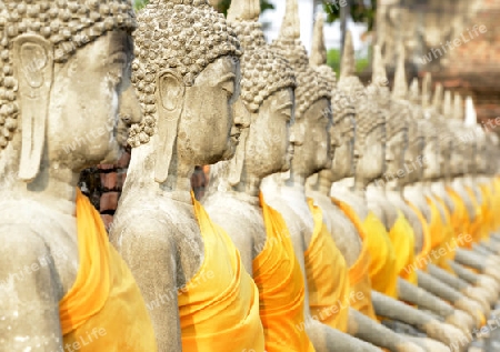 The Wat Yai Chai Mongkol Temple in City of Ayutthaya in the north of Bangkok in Thailand, Southeastasia.