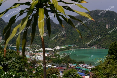 The view from the Viewpoint on the Town of Ko PhiPhi on Ko Phi Phi Island outside of the City of Krabi on the Andaman Sea in the south of Thailand. 