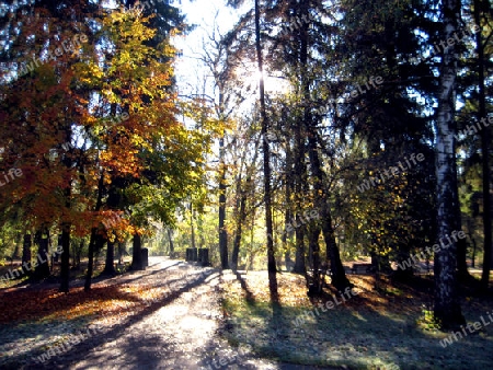 Herbst in Englischer Garten