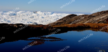 Eisberge am Kangia Eisfjord