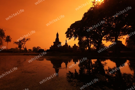 Ein Chedi beim Wat Mahathat Tempel in der Tempelanlage von Alt-Sukhothai in der Provinz Sukhothai im Norden von Thailand in Suedostasien.