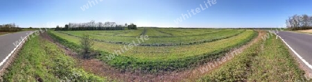 Beautiful high resolution panorama of a northern european country landscape with fields and green grass.