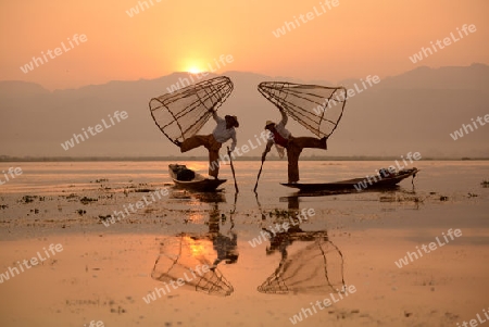 Fishermen at sunrise in the Landscape on the Inle Lake in the Shan State in the east of Myanmar in Southeastasia.