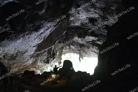 Die Hoehle Cave Pangmapha in der Bergregion von Soppong im norden von Thailand in Suedostasien.