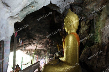 Die Buddha Hoehle Tham Xang oder Tham Pha Ban Tham unweit der Stadt Tha Khaek in zentral Laos an der Grenze zu Thailand in Suedostasien.