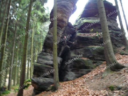 Felsen im Wald