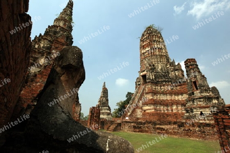 Der Wat Chai Wattanaram Tempel in der Tempelstadt Ayutthaya noerdlich von Bangkok in Thailand