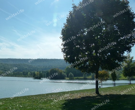 Herbstwanderung am See im Zaberg?u 3