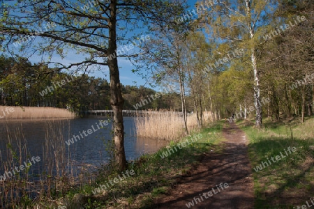 Prerowstrom in Prerow auf dem Darss, Nationalpark Vorpommersche Boddenlandschaft, Deutschland