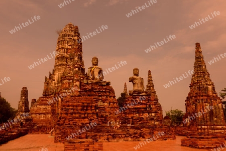 The Wat Chai Wattanaram Temple in City of Ayutthaya in the north of Bangkok in Thailand, Southeastasia.