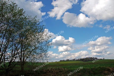 Wolken mit Herbstbaum