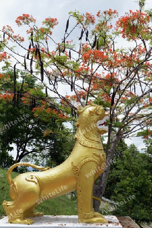 Der Tempel Wat Phra That Doi Kong Mu ueber dem Dorf Mae Hong Son im norden von Thailand in Suedostasien.