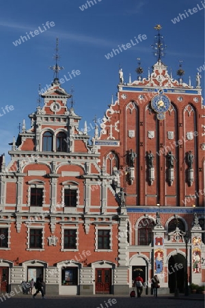 Die Petrikirche und das Schwarzhaeupterhaus in der Altstadt von Riga der Hauptststadt von Lettland im Baltikum in Osteuropa.  