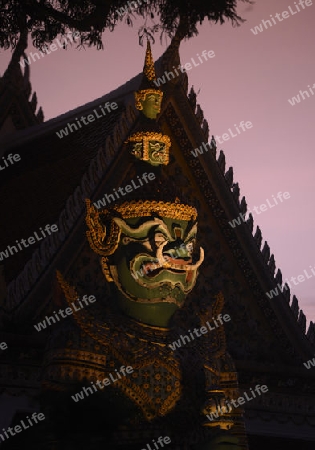 Der Wat Arun Tempel in der Stadt Bangkok in Thailand in Suedostasien.