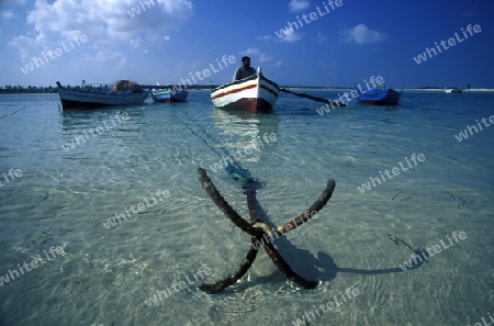 Afrika, Tunesien, Jerba
Ein Strand auf der Insel Jerba im sueden von Tunesien. (URS FLUEELER)






