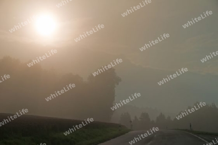 Morgenstimmung an einer Landstra?e mit Nebel