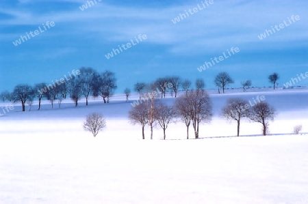 Winterlandschaft