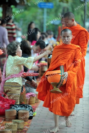 Moenche am fruehen Morgen beim einsammeln von Reis in der Altstadt von Luang Prabang in Zentrallaos von Laos in Suedostasien.  