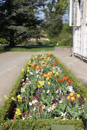 Orangerie im Neuen Garten