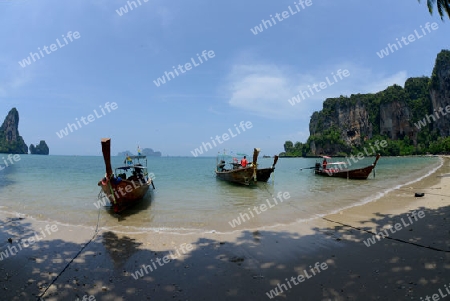 The Hat Tom Sai Beach at Railay near Ao Nang outside of the City of Krabi on the Andaman Sea in the south of Thailand. 