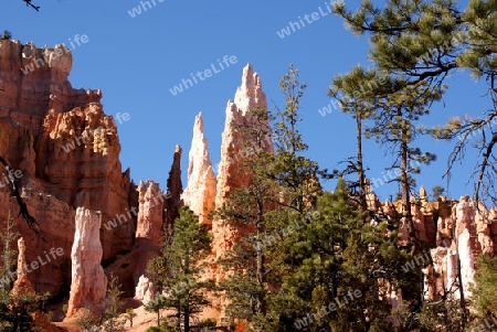 Bryce Canyon USA