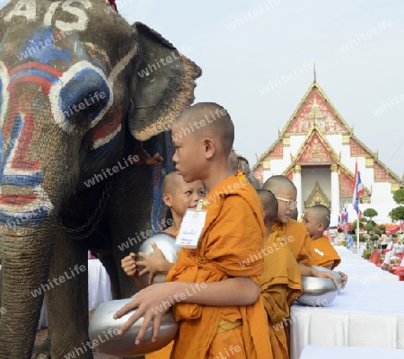 Das Songkran Fest oder Wasserfest zum Thailaendischen Neujahr ist im vollem Gange in Ayutthaya noerdlich von Bangkok in Thailand in Suedostasien.  