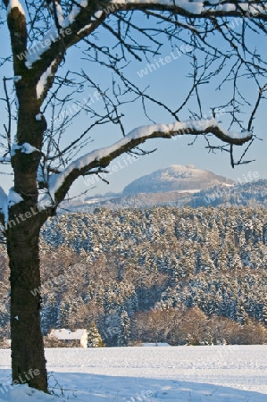 winterliche Szene 