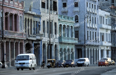 the Malecon road on the coast in the old townl of the city of Havana on Cuba in the caribbean sea