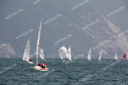 Segeln auf dem Gardasee