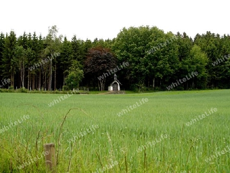 Waldkapelle