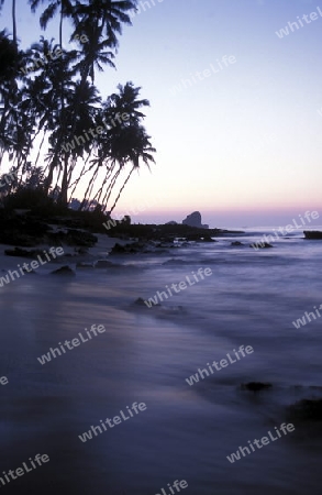 Asien, Indischer Ozean, Sri Lanka,
Ein Traumstrand beim Kuestendorf Hikkaduwa an der Suedwestkueste von Sri Lanka. (URS FLUEELER)






