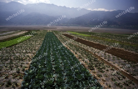 agroculture in the village of fengjie at the yangzee river in the three gorges valley up of the three gorges dam project in the province of hubei in china.