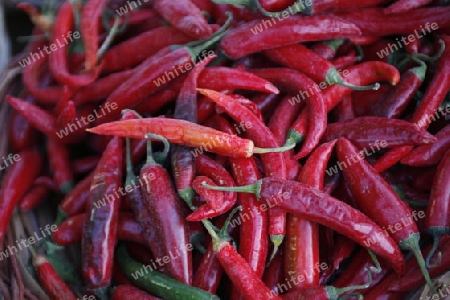 chily on the market in the old Town of Siracusa in Sicily in south Italy in Europe.