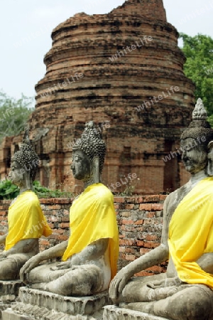 Der Wat Yai Chai Tempel in der Tempelstadt Ayutthaya noerdlich von Bangkok in Thailand.