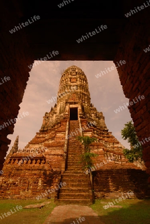 The Wat Chai Wattanaram Temple in City of Ayutthaya in the north of Bangkok in Thailand, Southeastasia.